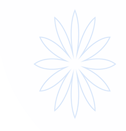 认识